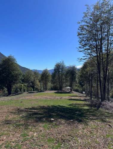 Terreno de bosque nativo con orilla de rio