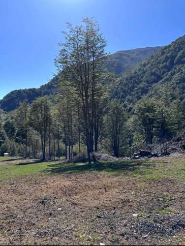 Terreno de bosque nativo con orilla de rio