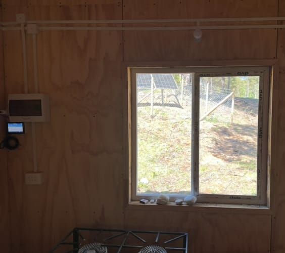 Terreno de bosque nativo con orilla de rio