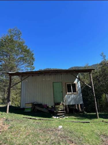 Terreno de bosque nativo con orilla de rio