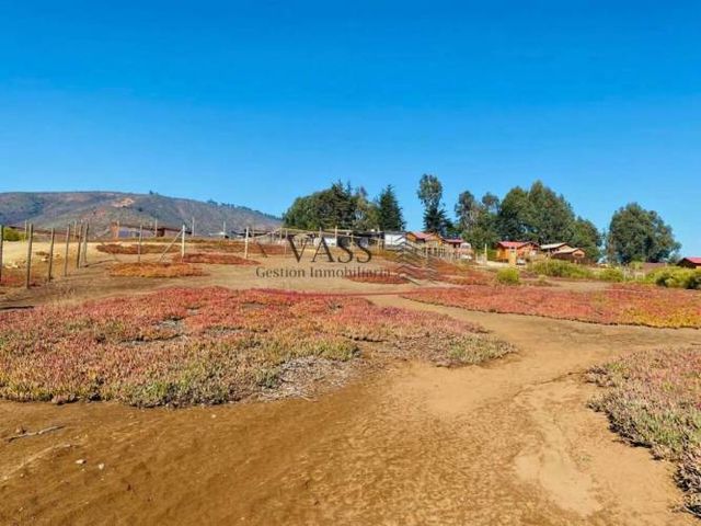 VASS vende terreno de 2.500 m² en El Abanico, Maitencillo