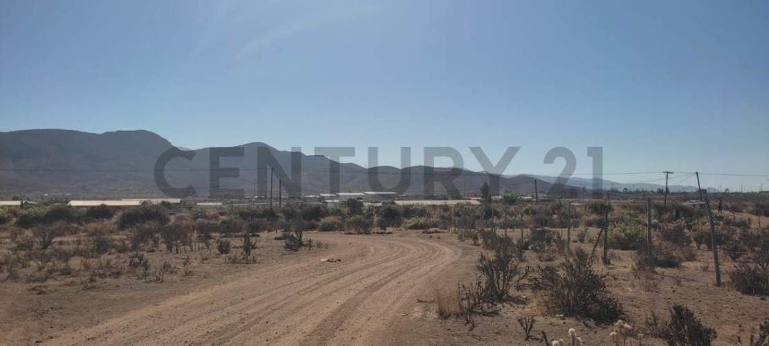 Vendo terreno 9600m2. agro industrial plano