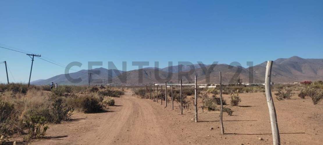 Vendo terreno 9600m2. agro industrial plano