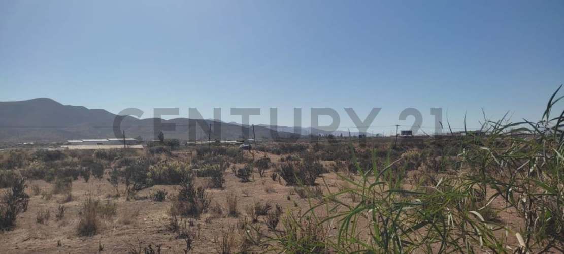 Vendo terreno 9600m2. agro industrial plano