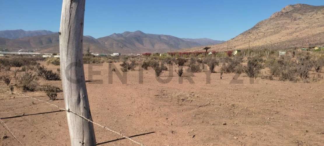 Vendo terreno 9600m2. agro industrial plano