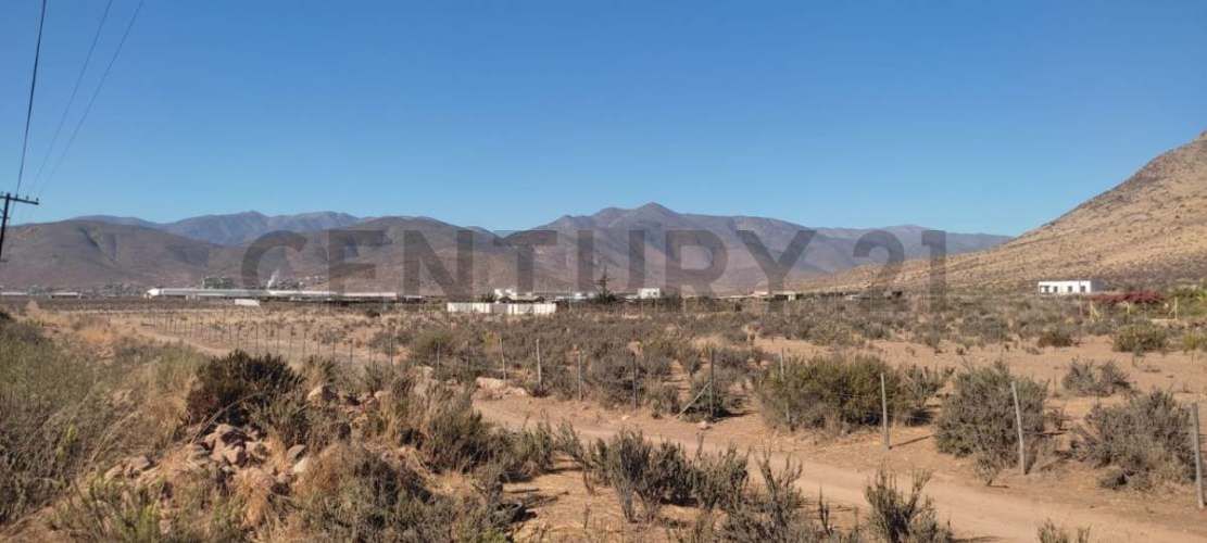 Vendo terreno 9600m2. agro industrial plano