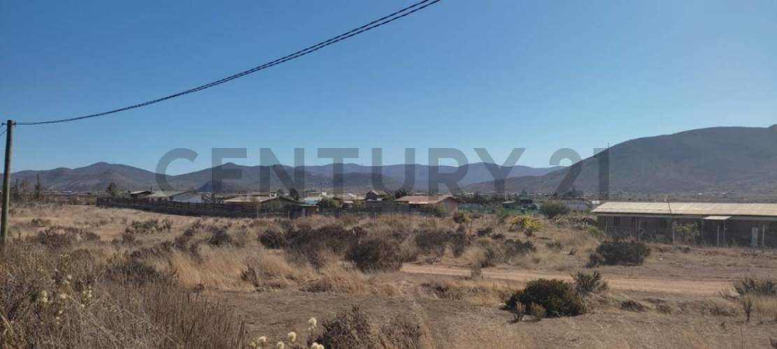 Vendo terreno 9600m2. agro industrial plano