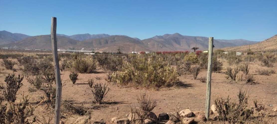 Vendo terreno 9600m2. agro industrial plano