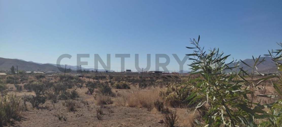 Vendo terreno 9600m2. agro industrial plano