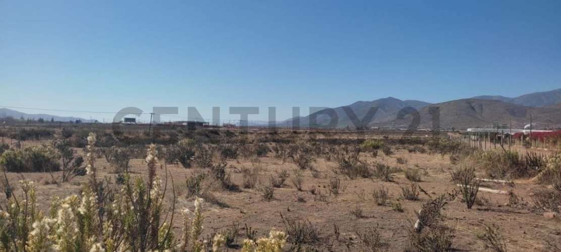 Vendo terreno 9600m2. agro industrial plano