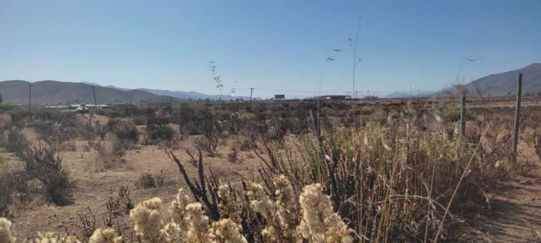 Vendo terreno 9600m2. agro industrial plano