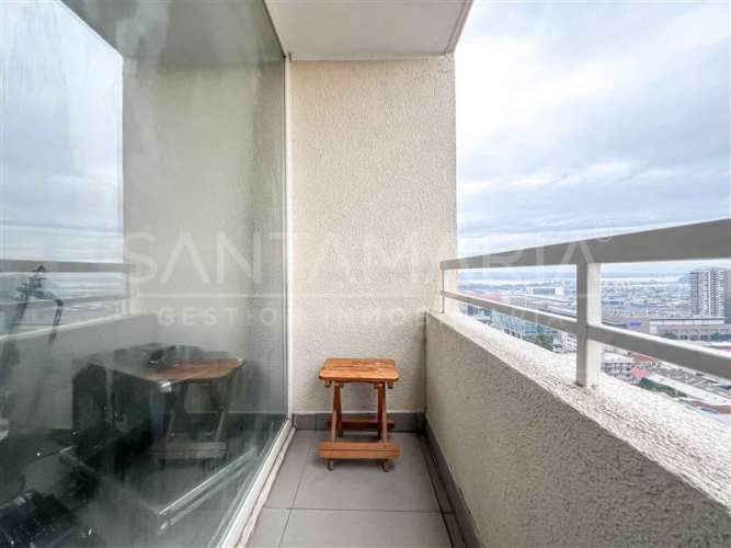 DEPARTAMENTO Salas, concepcion