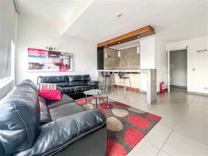 DEPARTAMENTO Salas, concepcion