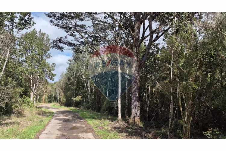 Parcelas - haciendas aguas del maullin