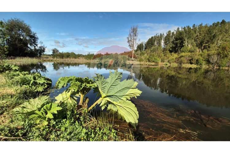 Parcelas - haciendas aguas del maullin