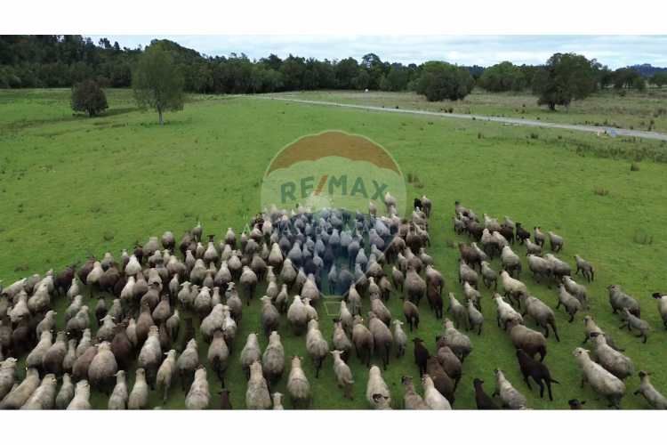 Parcelas - haciendas aguas del maullin