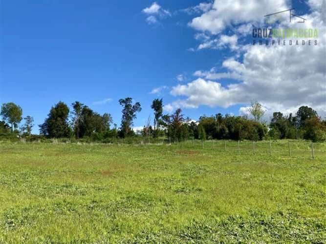 PARCELA Línea Nueva