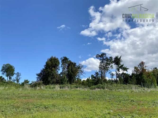 PARCELA Línea Nueva