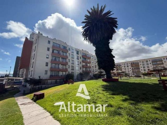 DEPARTAMENTO El Sauce