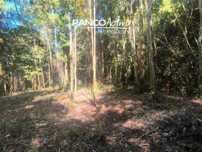 PARCELA Fundo Amancay