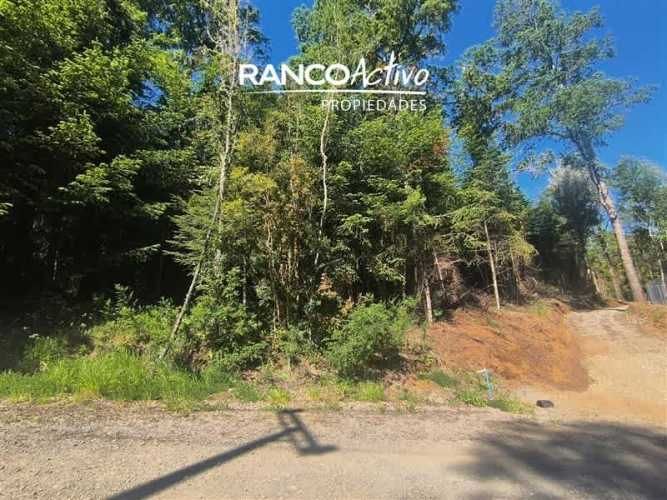 PARCELA Fundo Amancay