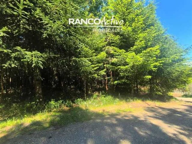 PARCELA Fundo Amancay