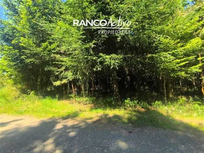 PARCELA Fundo Amancay