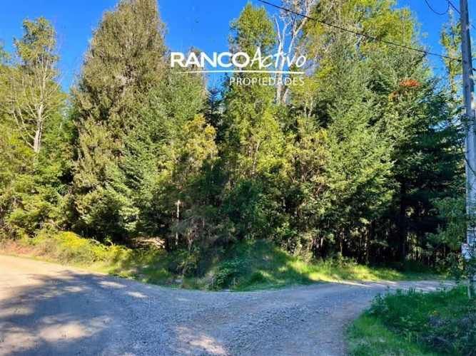 PARCELA Fundo Amancay