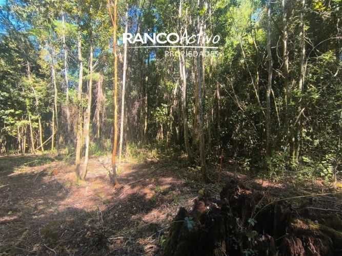 PARCELA Fundo Amancay