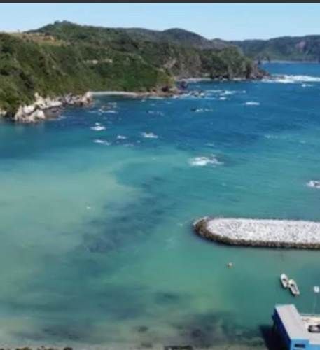 Parcela en Estaquilla con cabaña