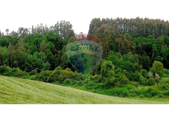 Proyecto de parcelas centinela 2 la union