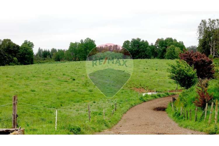 Proyecto de parcelas centinela 1 la unión