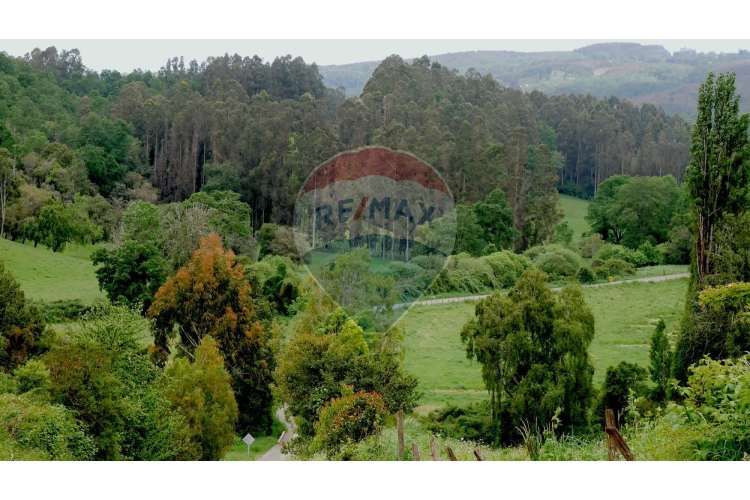 Proyecto de parcelas centinela 1 la unión