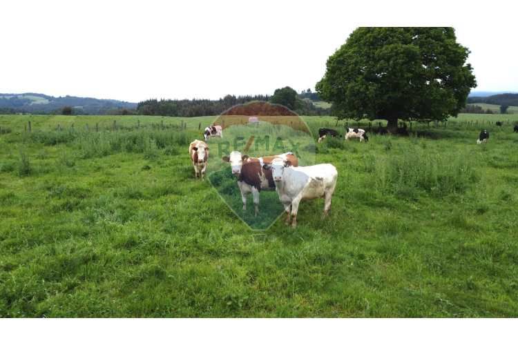 Proyecto de parcelas centinela 1 la unión