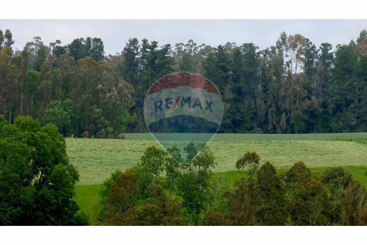 Proyecto de parcelas centinela 1 la unión