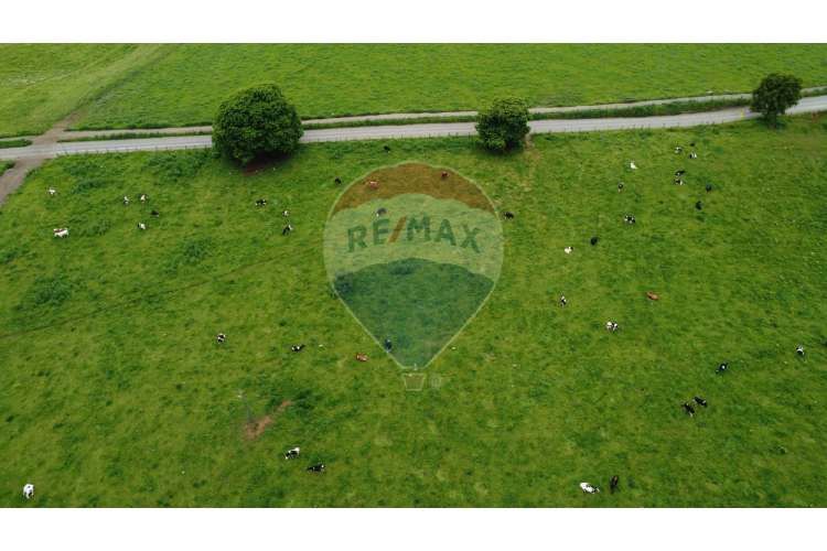 Proyecto de parcelas centinela 1 la unión