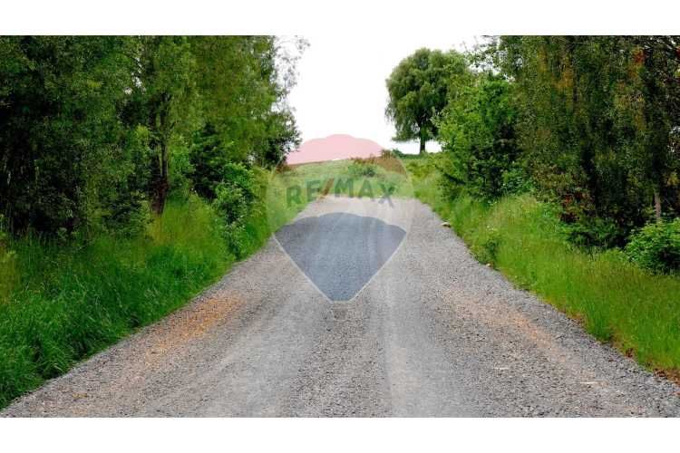 Proyecto de parcelas centinela 1 la unión