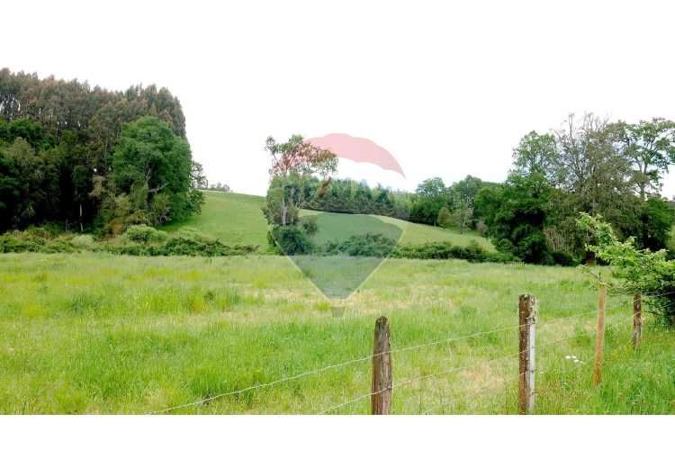 Proyecto de parcelas centinela 1 la unión