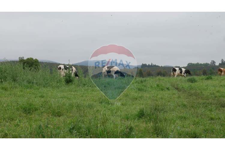 Proyecto de parcelas centinela 1 la unión