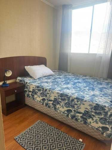 SE ARRIENDA DEPARTAMENTO AMOBLADO (128762)