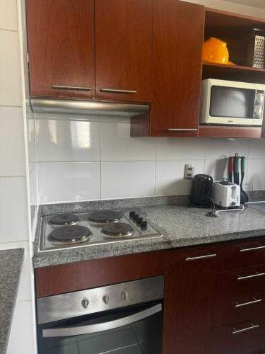 SE ARRIENDA DEPARTAMENTO AMOBLADO (128762)