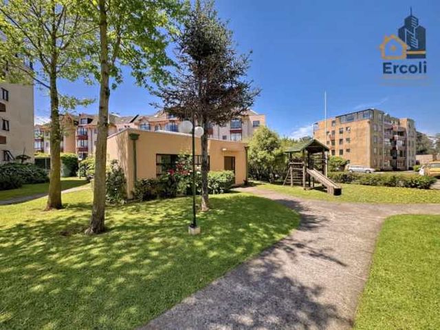 Departamento SAN PEDRO DE LA PAZ