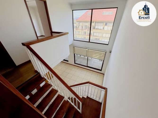 Departamento PAICAVI