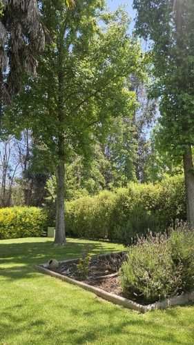 Mantenimiento General