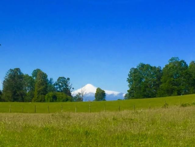 VENDO PARCELA a 10 min de Panguipulli