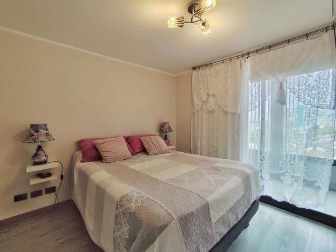 Conde del Maule 4236 [2425-3]