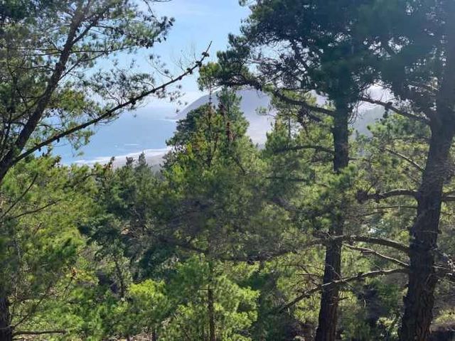 SITIO Hijuela Puertecillo Lote 54 Hacienda Topocalma