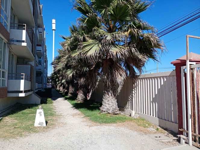 VENTA DEPARTAMENTO 3D 1B 1E SECTOR CUATRO ESQUINAS AV DEL MAR  LA SERENA