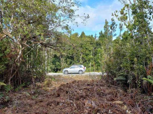 Parcela con Bosque Nativo, Condominio (129215)