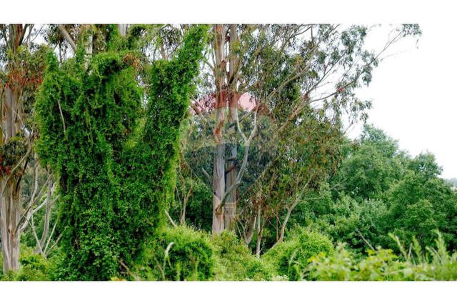 Proyecto de parcelas centinela 1 la unión